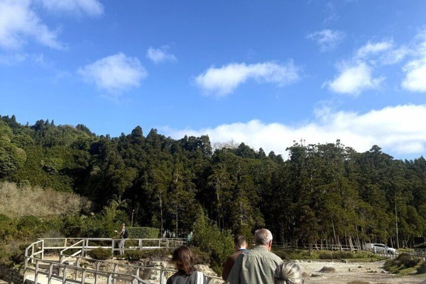 A forested hillside with a clear sky. 4