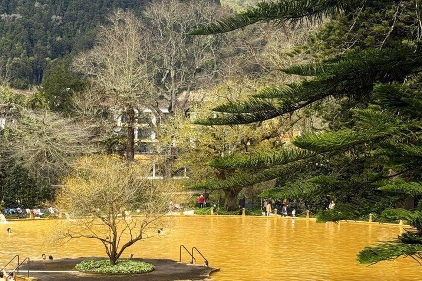 A flooded park with a tree in the foreground, a wooden walkway, and buildings in the background. 2