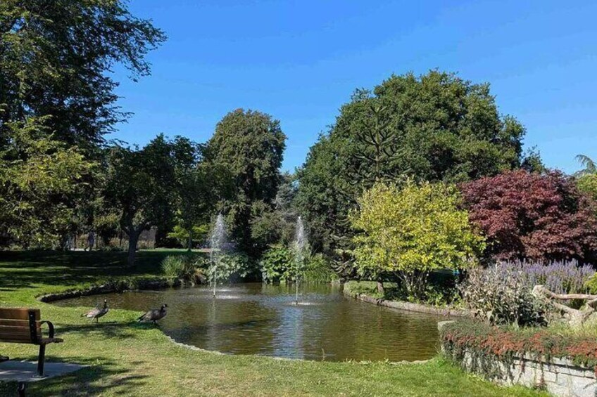 A pond with a fountain, surrounded by trees and a bench. 5
