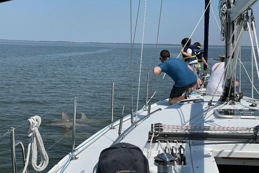 Un velero con gente en la cubierta, una cuerda y un tiburón en el agua. 2