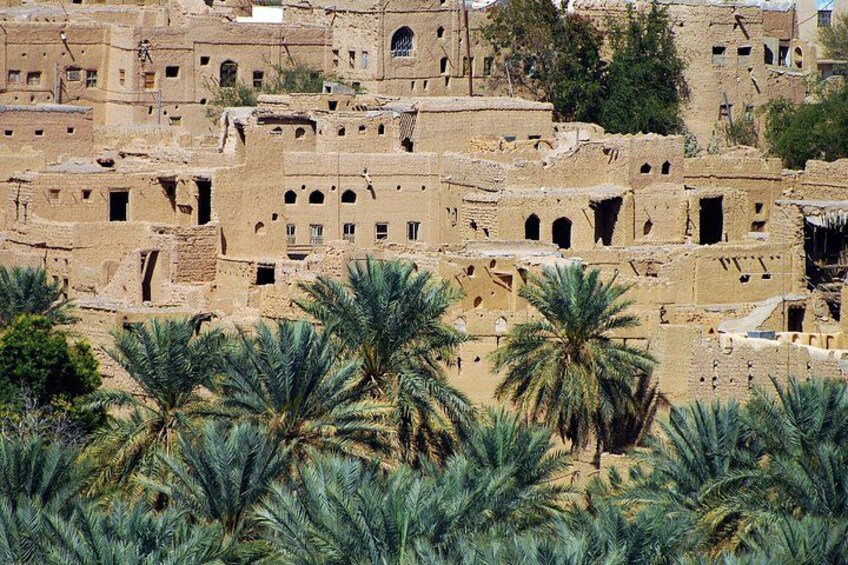 A traditional village with adobe buildings and palm trees. 4