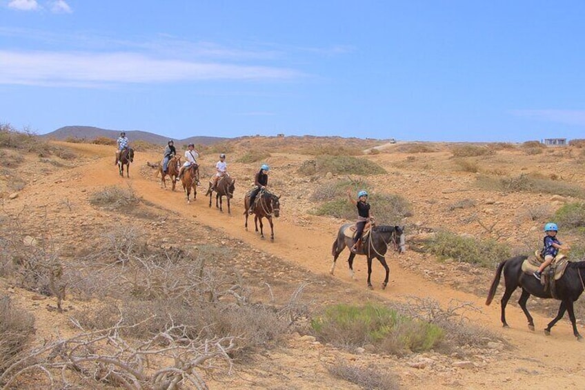Un gruppo di persone cavalca cavalli su un sentiero sterrato in un paesaggio desertico. 3