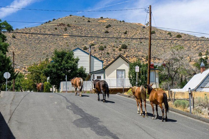 A road with horses, a white picket fence, and a house with a blue roof. 5