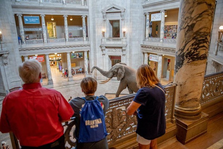A shopping mall with a large elephant statue. 1