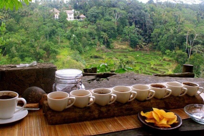 A table with cups of coffee and a plate of snacks, overlooking a lush green landscape. 3