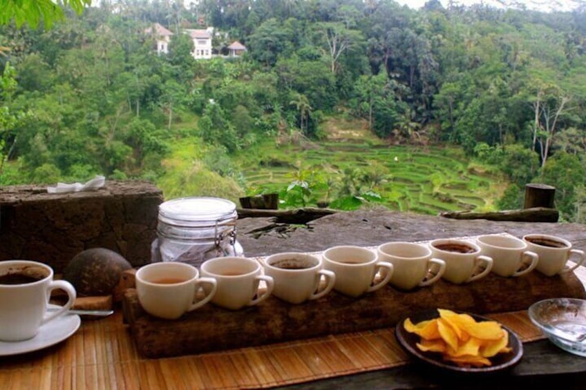 A table with cups of coffee and a plate of mango slices, overlooking a lush green landscape. 3