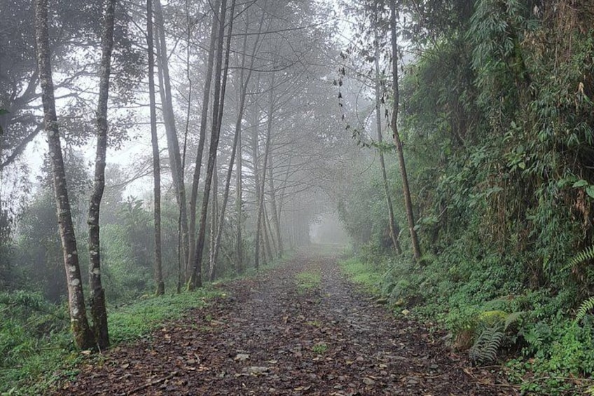 Quito Páramo, Cloud Forest & Volcanoes Farm Tour Ecuador 3