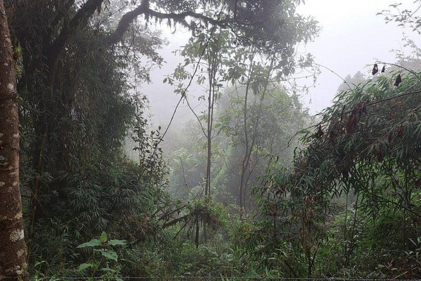 Quito Páramo, Cloud Forest & Volcanoes Farm Tour Ecuador 5