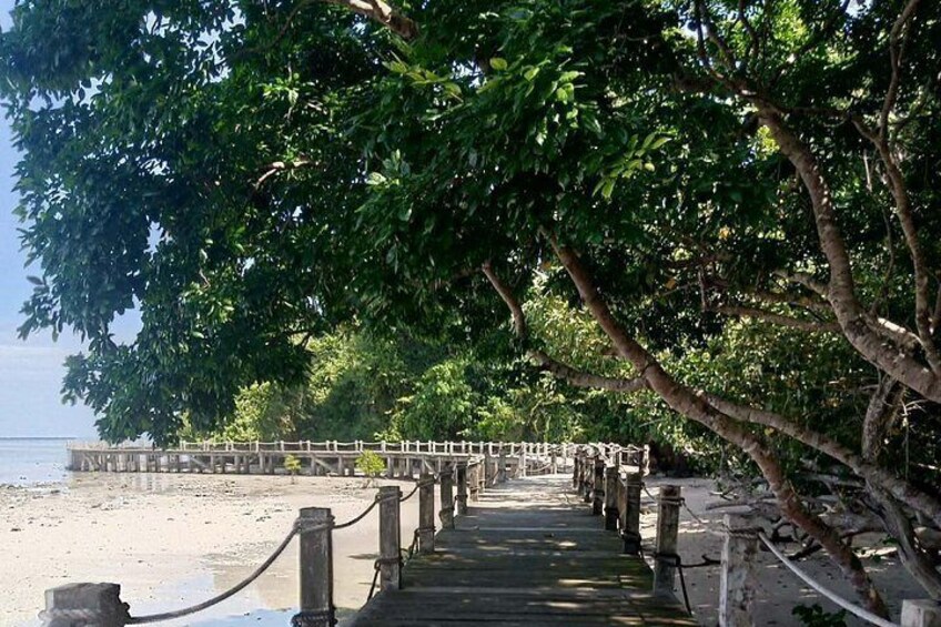 A wooden walkway leading to a beach, surrounded by lush green trees. 2
