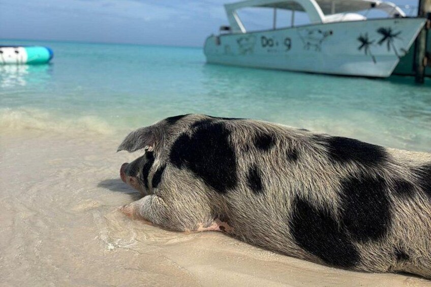 Bahamas Island Treasure Escape 2