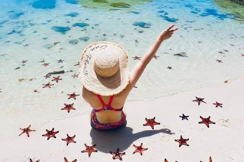 Una persona sentada en la playa con estrellas de mar dispersas. 3