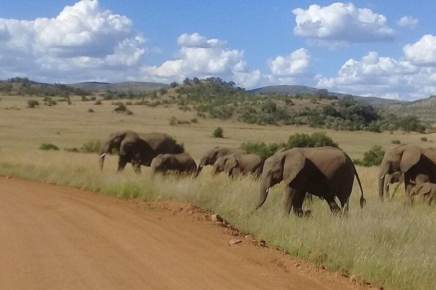 4 Day Private Kruger National Park Safari 5