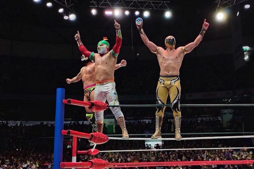 Two wrestlers in a ring with ropes and a blue corner post. 1