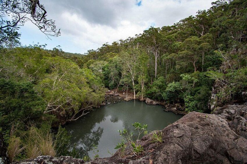Waterfalls & Rainforest: Airlie Beach Private Shore Tour 4 Hours 3