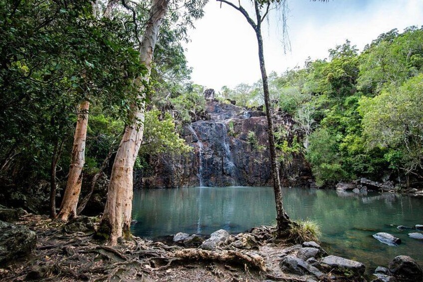 Waterfalls & Rainforest: Airlie Beach Private Shore Tour 4 Hours 4