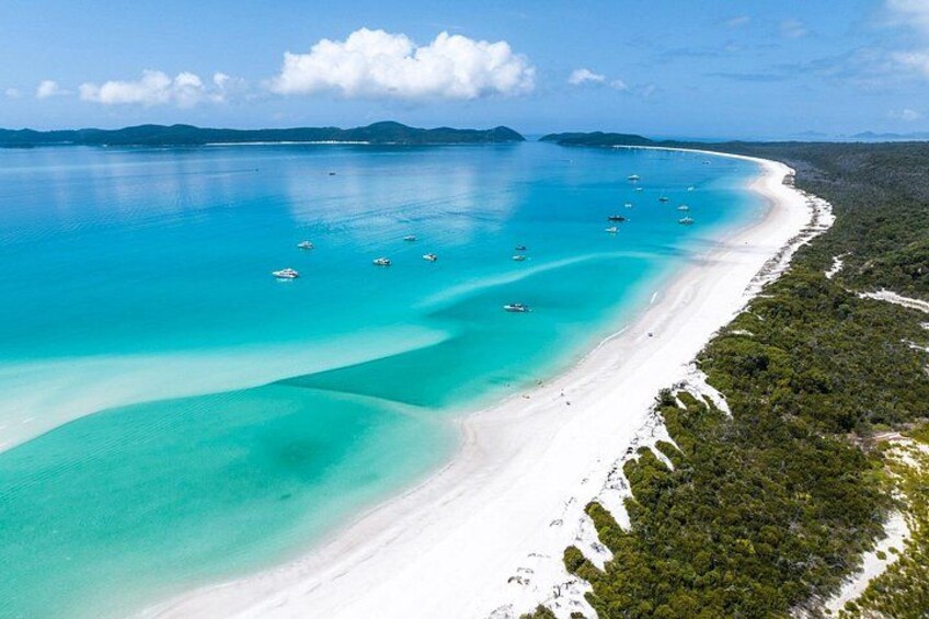Waterfalls & Rainforest: Airlie Beach Private Shore Tour 4 Hours 2