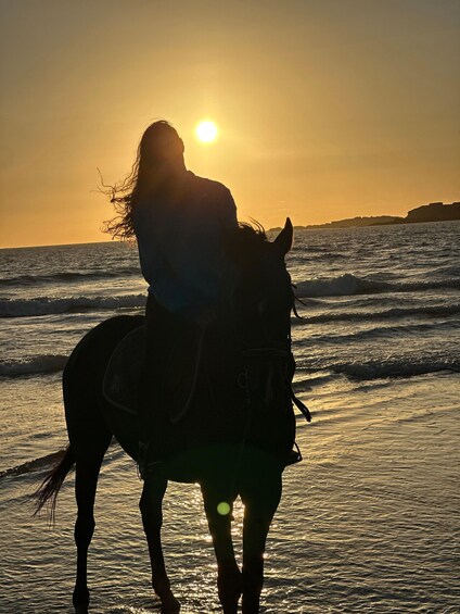 Picture 8 for Activity Essaouira: Horseback Ride with Scenic Tea Break 4
