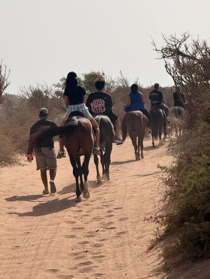 Picture 3 for Activity Essaouira: Horseback Ride with Scenic Tea Break 5
