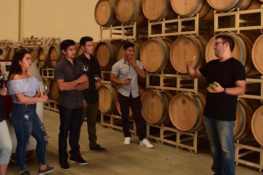 Private Driver by the Hour — Valle de Guadalupe & Ensenada 2