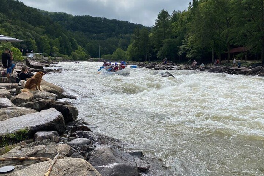 Ocoee River Full River Whitewater Rafting Trip With Lunch 4