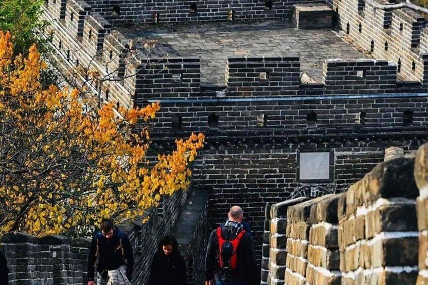 Tramo de la Gran Muralla China con muros de ladrillo y un árbol con hojas amarillas. 2