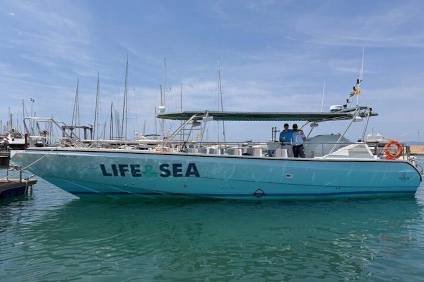 En båd med navnet 'LIFE & SEA' ligger ved en marina, med andre både i baggrunden. 2