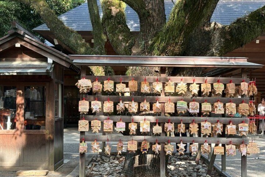 Private Ikebana Lesson, Atsuta Shrine, and Grilled Eel Lunch 5