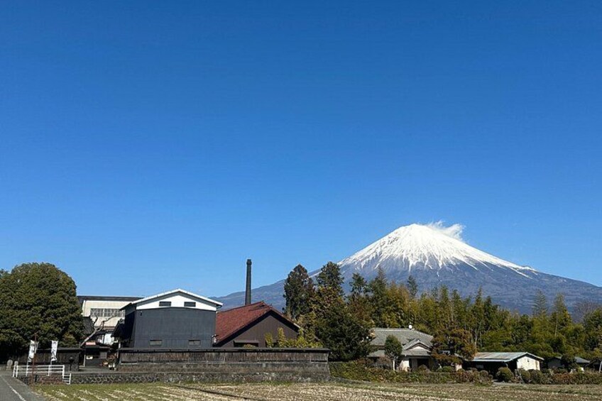 A snow-capped mountain, houses, and a clear blue sky. 3