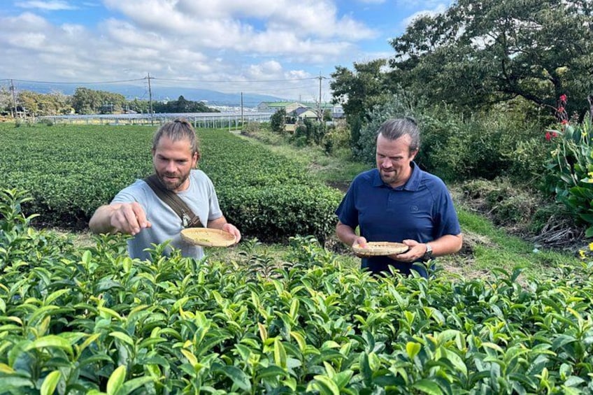 Two men holding plates in a tea plantation. 5