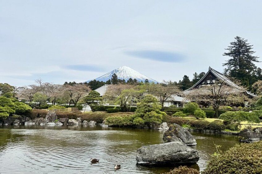 A tranquil garden with a pond, rocks, cherry blossoms, and a traditional Japanese building. 2