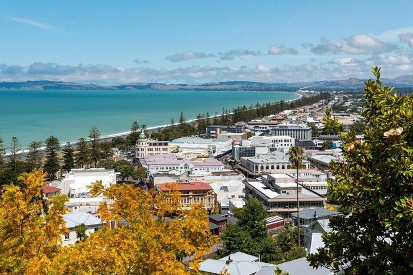 Napier Art Deco and Scenic Highlights Full Day Private Shore Tour 4