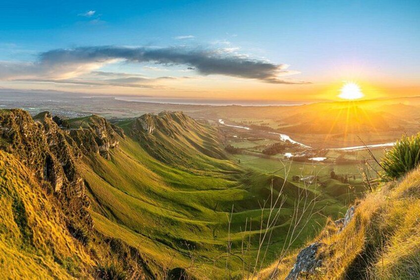 Napier Art Deco and Scenic Highlights Full Day Private Shore Tour 1