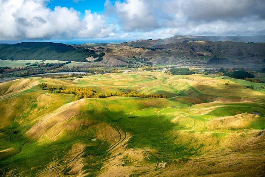 Napier Art Deco and Scenic Highlights Full Day Private Shore Tour 2