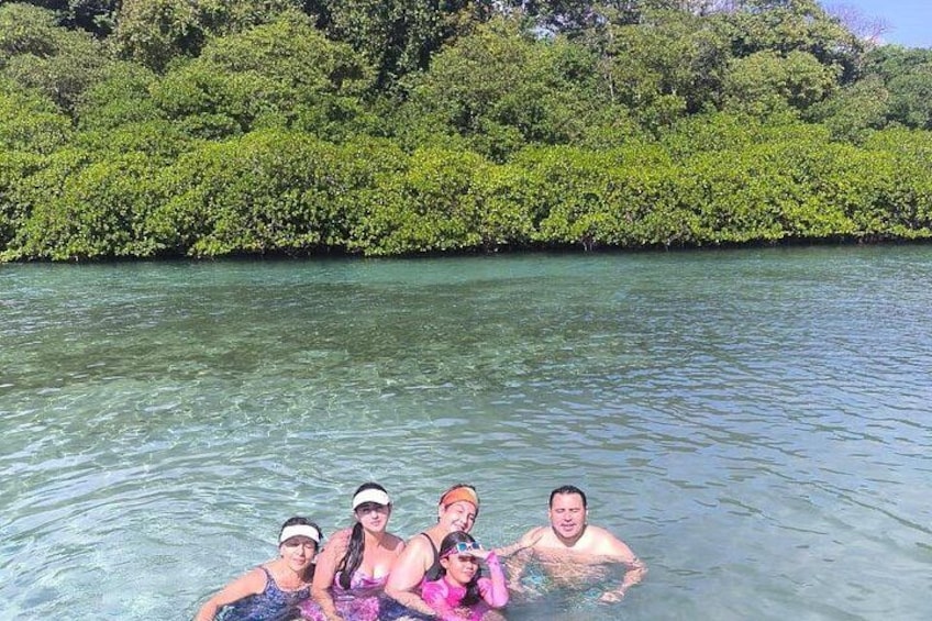 A group of people in clear water surrounded by dense green foliage. 4