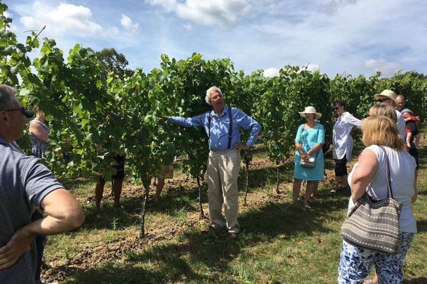 Vineyard manager explaining the life of a vine throughout the year 3