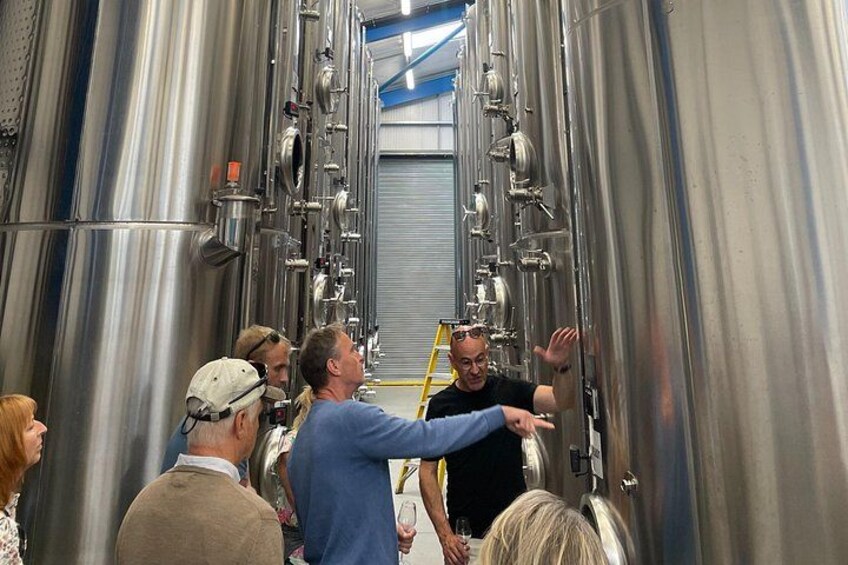 Winemaker explaining the wine making process 4