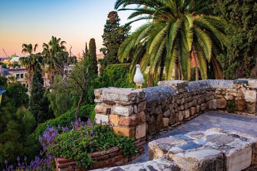 A stone bridge with a seagull, surrounded by lush greenery and palm trees. 4