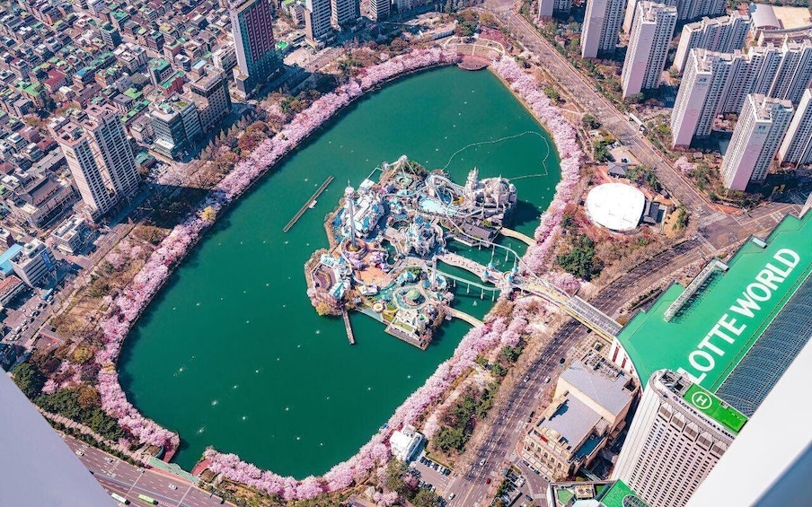 An aerial view of a park with a lake, surrounded by buildings and cherry blossoms. 5