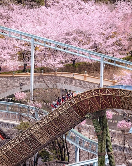 A roller coaster with passengers, set against a backdrop of cherry blossoms. 2