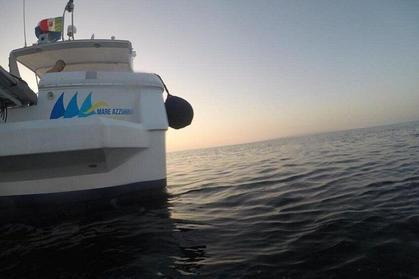 Favignana and Levanzo Boat Tour with Lunch on Board 2