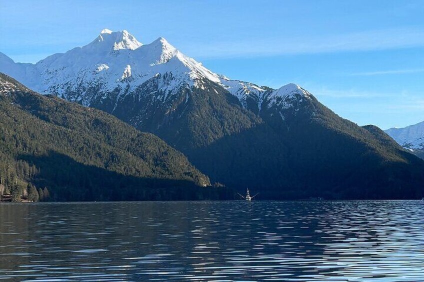 A calm lake with a sailboat, surrounded by snow-capped mountains and dense forests. 3