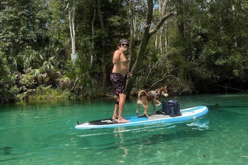 Bring your pets on the Weeki Wachee! 1