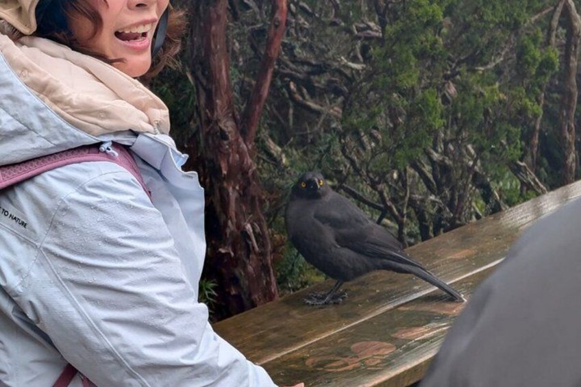 A person wearing a light blue jacket with a hood, a pink strap, and a white shirt underneath. A black bird with yellow eyes is perched on a wooden railing. 5