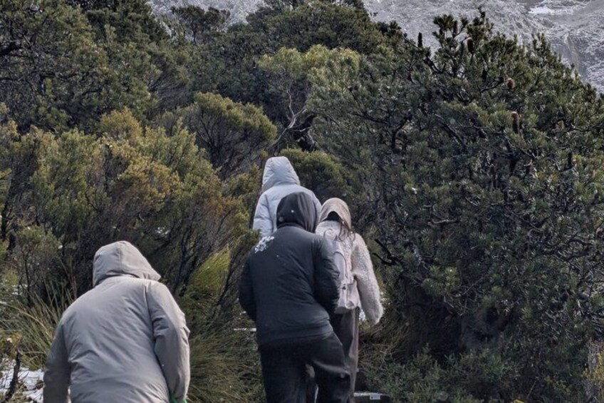 A group of people hiking on a trail surrounded by dense forest. 3