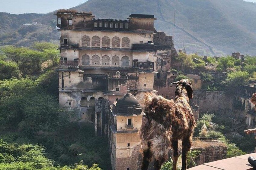 Full Day Jaipur City Tour by Private Car & Guide & Block Printing 3