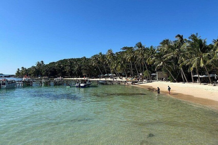 A beach with clear turquoise water, palm trees, and boats. 1