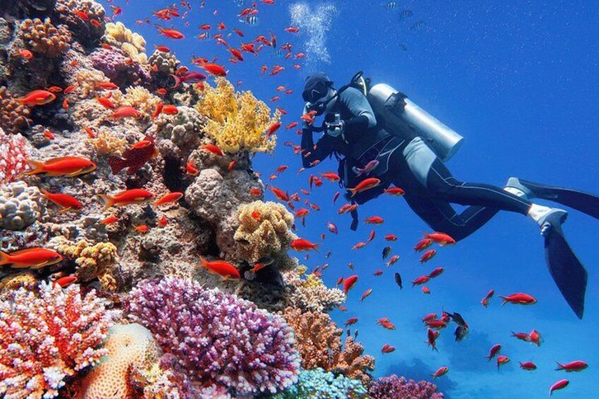 Sharm El Sheikh: Ras Mohammed & White Island Luxury Yacht Trip 2