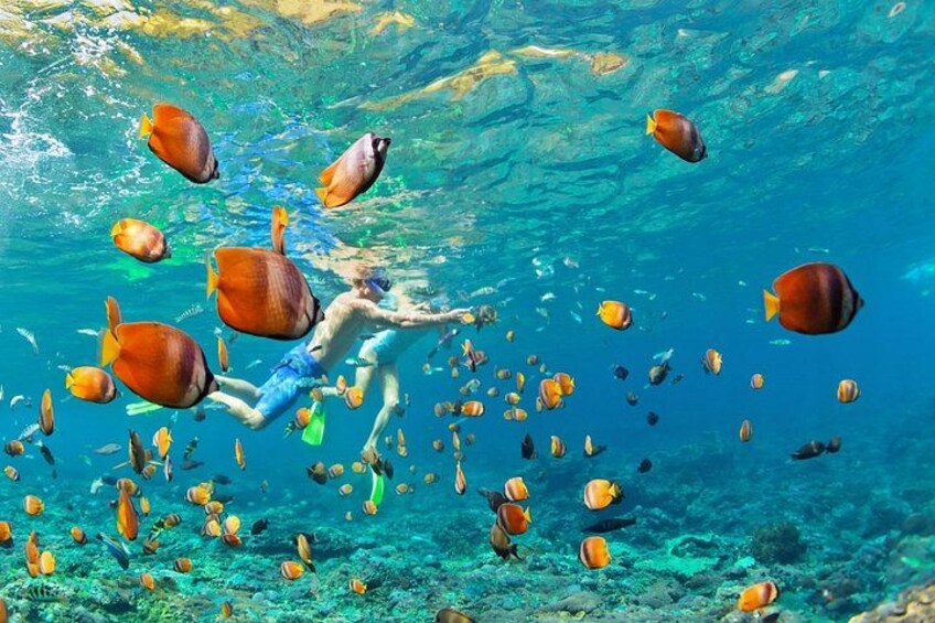Sharm El Sheikh: Ras Mohammed & White Island Luxury Yacht Trip 4