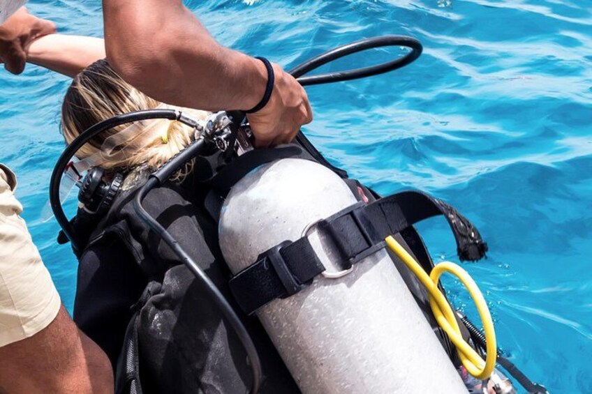 A person wearing a scuba diving mask and a diving cylinder. 4