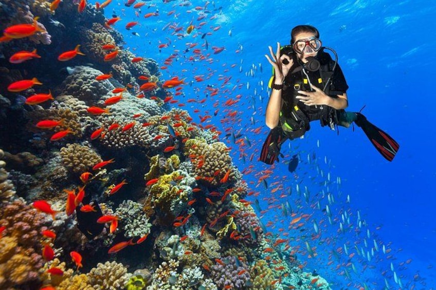 Sharm El Sheikh: Ras Mohammed & White Island Luxury Yacht Trip 3